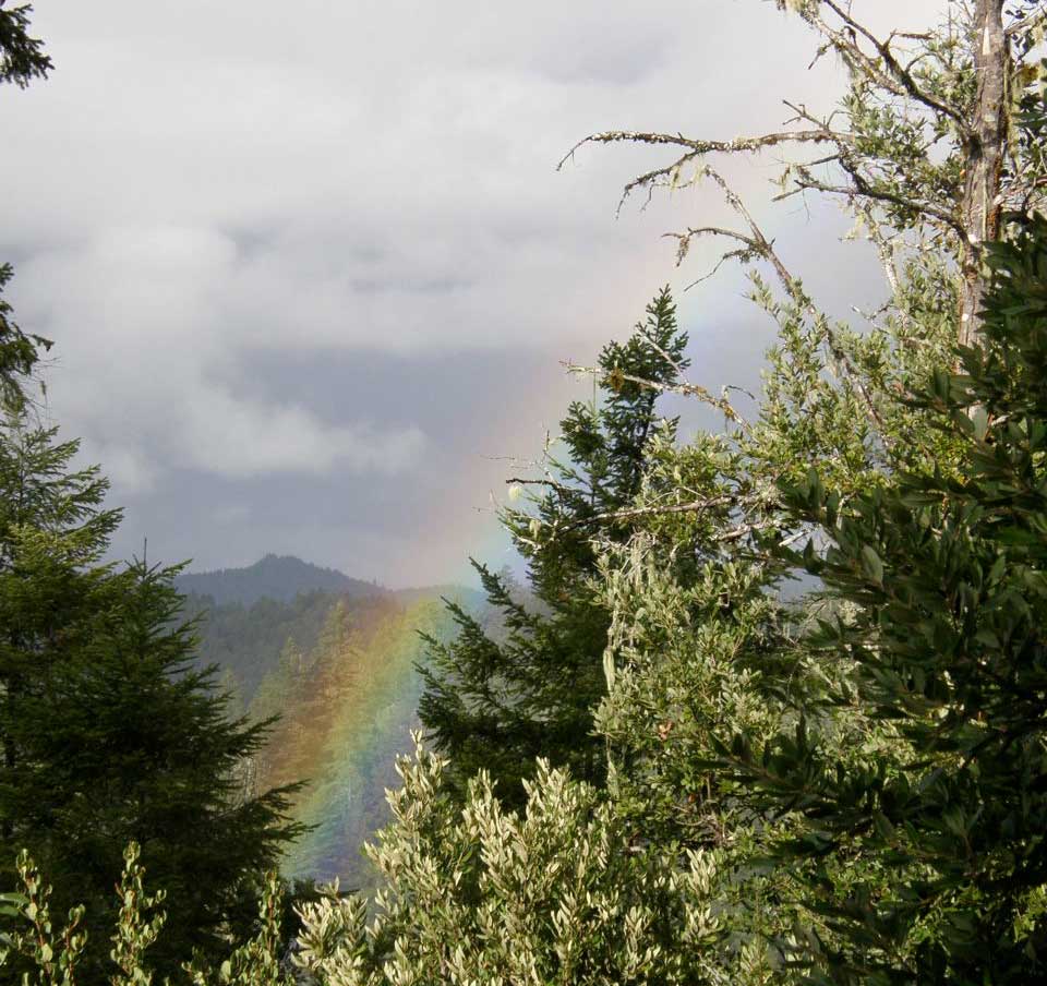 View from Usal towards the North Coast, with hopeful rainbow.